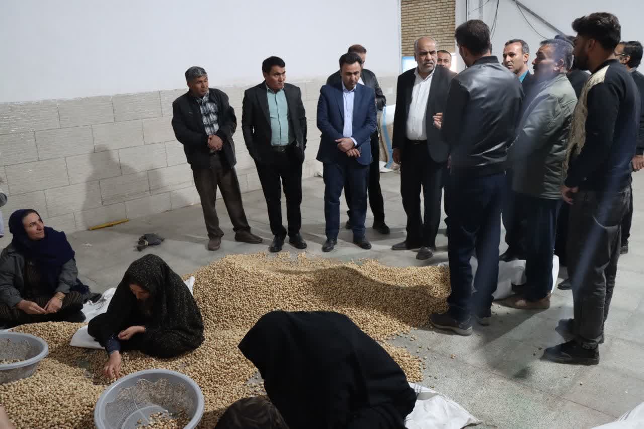 بازدید محمد رضا صباغیان با همراهی فرماندار شهرستان خاتم از کارخانه فرآوری پسته ضرغامی