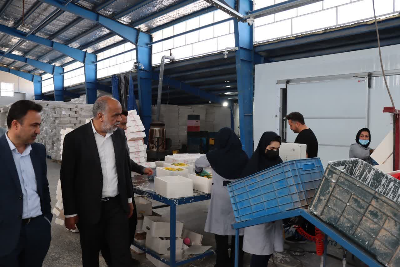 بازدید محمد رضا صباغیان به همراه سرپرست فرمانداری شهرستان خاتم از کارخانه سورتینگ 