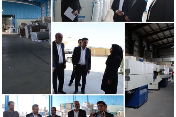 بازدید سرزده محمد رضا صباغیان نماینده مردم در مجلس شورای اسلامی از کارخانه تولیدات صنایع بسته بندی بهبند شهرستان خاتم با همراهی معاون سیاسی، امنیتی و اجتماعی استان، فرماندار و رئیس اداره کار شهرستان.