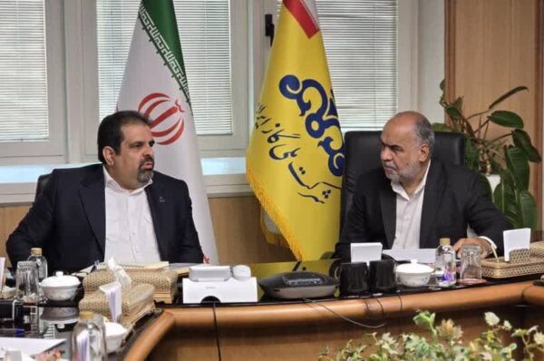 نشست محمد رضا صباغیان با سعید توکلی معاون وزیر و مدیرعامل شرکت ملی گاز ایران