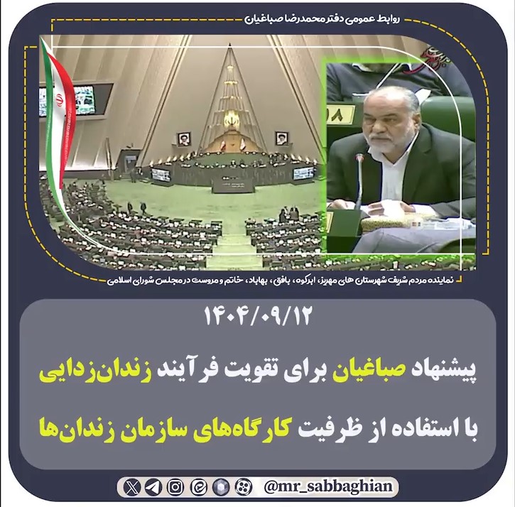 🚨 پیشنهاد صباغیان برای تقویت فرآیند زندان‌زدایی با استفاده از ظرفیت کارگاه‌های سازمان زندان‌ها