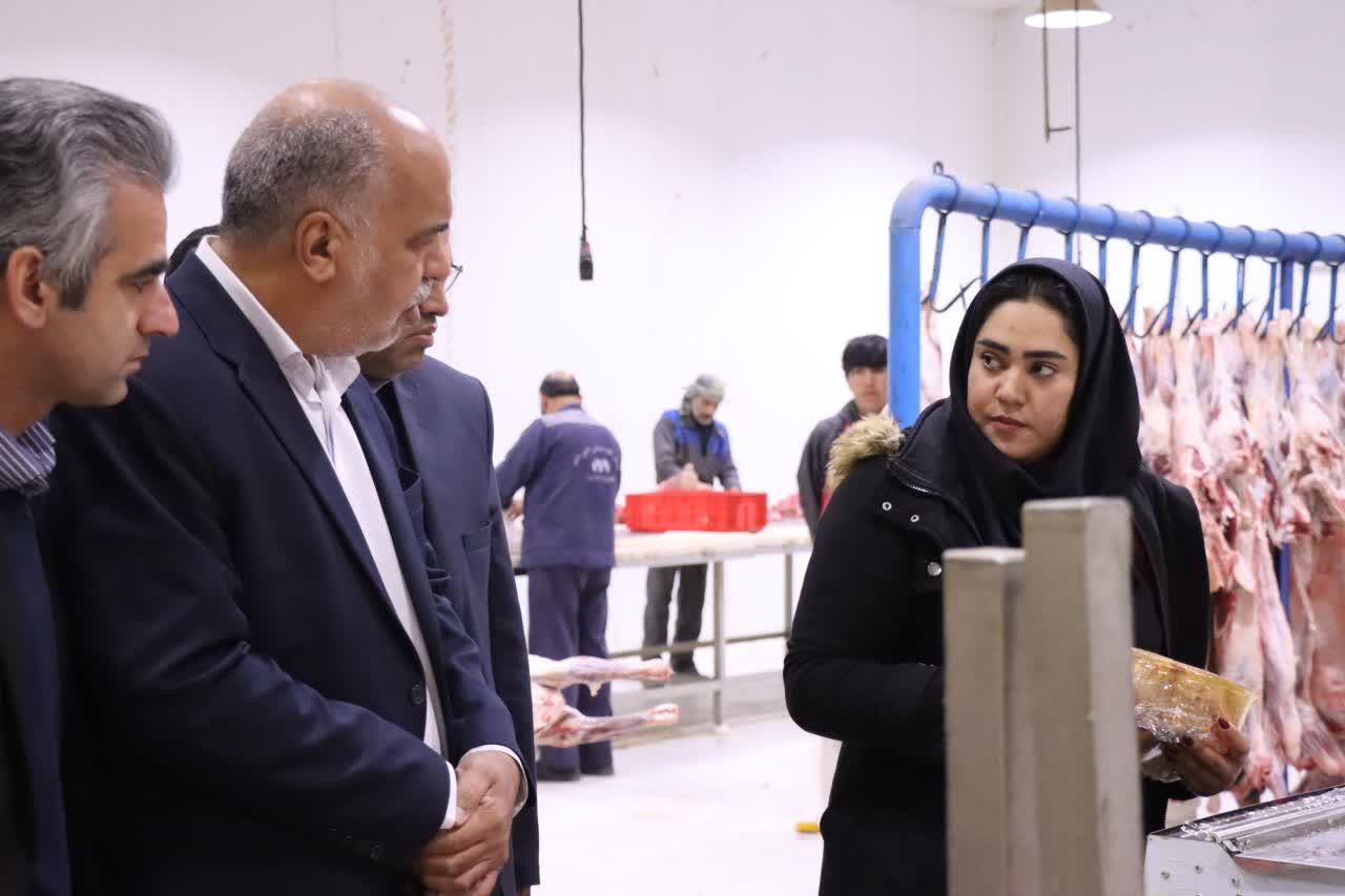 بازدید محمدرضا صباغیان از کشتارگاه معین دام